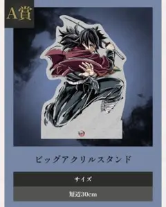 鬼滅の刃 WEBSHOPくじ エンドロール A賞 冨岡義勇ビッグアクリル