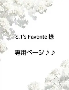S.T's Favorite様♪専用ページ♪♪