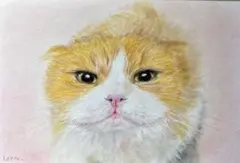 猫　絵画　子猫　イラスト　水彩色鉛筆　油彩色鉛筆　原画　手書き　見つめる猫ちゃん