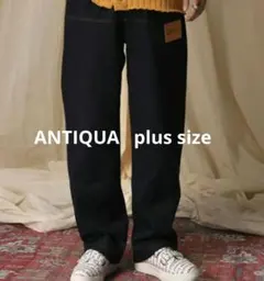 アンティカ OWNth デニムパンツ ワイド ストレート　インディゴ　大きいのサムネイル