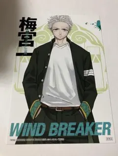 WIND BREAKER ウィンブレ TSUTAYA ポストカード　梅宮