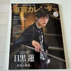 Item thumbnail for item 9c196a85-aafc-4a71-aa39-e85b0264fcea