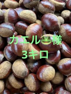 S&R様　生栗　3キロ S&R様 生栗 3キロ - メルカリ