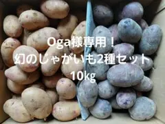Oga様専用！幻のじゃがいも2種セット10㎏