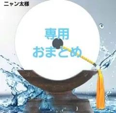 ニャン太様 リクエスト 2点 まとめ商品