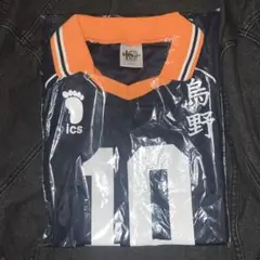 ハイキュー　烏野　ユニフォーム　日向翔陽　Lサイズ　10周年記念グッズ　TOHO