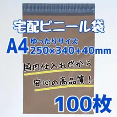 a4　宅配ビニール袋　100枚　250×340　発送用ビニール袋　高品質　宅配袋