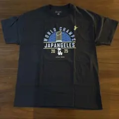 Item thumbnail for item 41f70a06-2377-4a7d-a682-720e0c3424f0