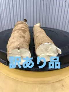 2026年最新】キャッサバ芋の人気アイテム - メルカリ