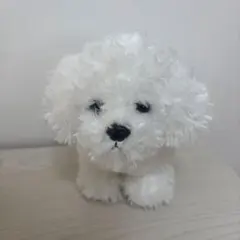 Aurora ビジョンフリーゼ　ぬいぐるみのサムネイル