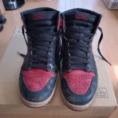 Item thumbnail for item e3d4b26d-15e9-41df-adc7-1ba657cc0d1e