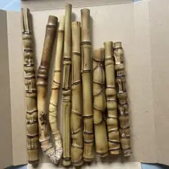 布袋竹ーー7