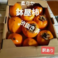 2025年最新】蜂屋柿の人気アイテム - メルカリ