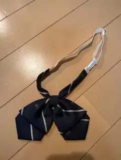 Item thumbnail for item af1ba241-d0bc-4d87-83f8-800967bab7b9