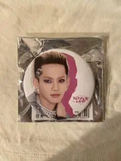 TREASURE WONDERLAND 缶バッジ ヒョンソク