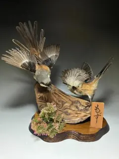 2025年最新】剥製鳥の人気アイテム - メルカリ