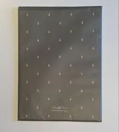 Item thumbnail for item dd0109ef-a9d3-4c1f-9766-f832316e4d51