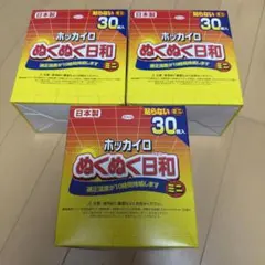 ホッカイロ ぬくぬく日和 ミニ 30個入 3箱セットのサムネイル