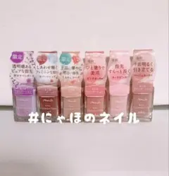 6本セット パラドゥ ネイルファンデーション 6色セットのサムネイル
