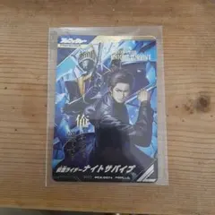 仮面ライダー ナイトサバイブパラレル PCX-057