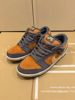 NIKE SB DUNK LOW PRO 26cmのサムネイル