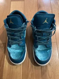 D新品 24cm ナイキ エア ジョーダン 1 ロー SE FB9896-300