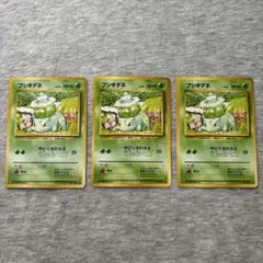 フシギダネ No.001 第1弾拡張パック 旧裏 3枚セット