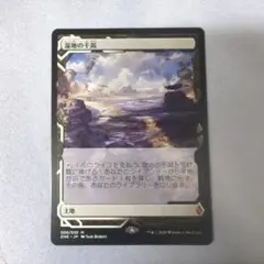 2025年最新】フェッチランドの人気アイテム - メルカリ