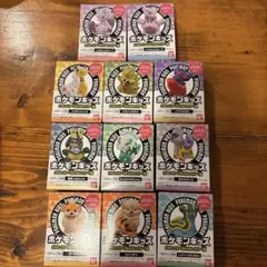 新品 バンダイ ポケモンキッズ メガミュウツーX＆メガミュウツーY編 全11種