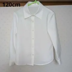 フォーマル　ホワイト 長袖ボタンシャツ