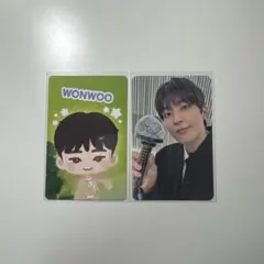 【公式】SEVENTEEN ウォヌ トレカ