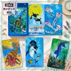 正規品】レア✨クラウドファンディング完売品✨月光の海のタロット
