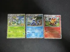 ポケモンカード ジャローダ エンブオー ダイケンキ 御三家セット