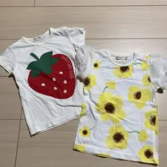 Item thumbnail for item e0836a3f-a3d3-43d0-8849-c9b8634a40da