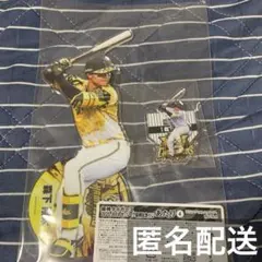 2025年最新】阪神 森下 アクリルスタンドの人気アイテム - メルカリ