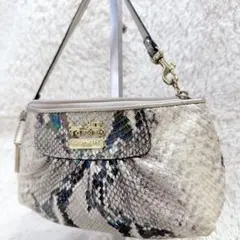 COACH コーチ パイソン柄 アクセサリーポーチ ハンドバッグ ワン 