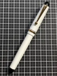 未使用に近い パイロット カスタム ストライプ M 中字 万年筆 - メルカリ