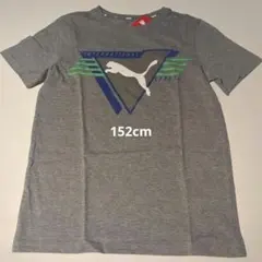 PUMA Tシャツ 152cm グレー 半袖　キッズ