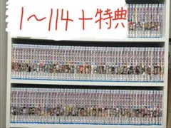 ワンピース 全巻 簡易クリーニング済！ 全巻セット 全115巻 - メルカリ