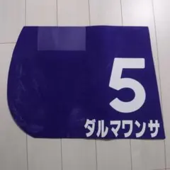 ルージュバック実使用ゼッケン 2025年最新】実使用 ゼッケンの人気アイテム - メルカリ