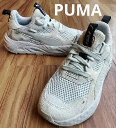 Item thumbnail for item f4003bf4-9ea9-4ff7-8c13-c32ef263c7e6