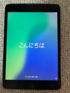 iPad mini 第5世代 Wi-Fi 256GB Apple Pencil他