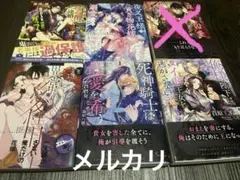 ティーンズラブ文庫　まとめ売り　5冊　TL