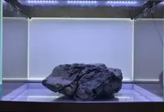 風山石　特大サイズ チャーム（ペット） 形状お任せ 風山石 サイズミックス 20kg