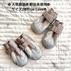 트루러브 트루 러브 도그 슈즈 프렌치 불독