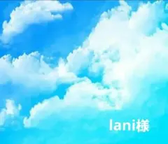 lani様リクエスト商品