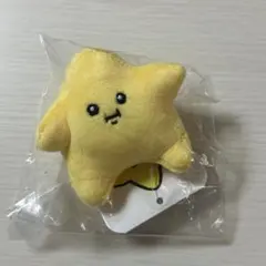 ゆきんこ様専用