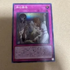 Item thumbnail for item 082bbbd2-9d83-44c9-a403-8b7aad48849d