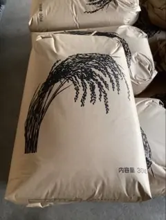 にじのきらめき　玄米 30kgのサムネイル