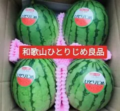 ぞうさん様専用】小玉スイカ1玉 黄色果肉 - メルカリ